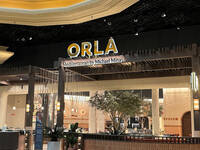 Orla Coalfire Black Hat HH SM